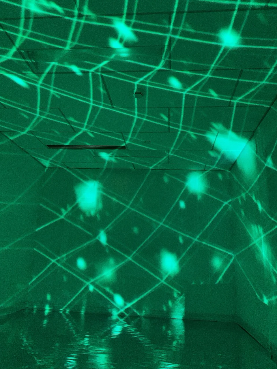 Apeiron installation