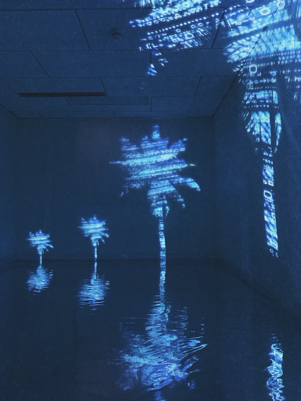 Apeiron installation